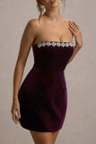 Naia Port Velvet Embellished Bandeau Mini Dress