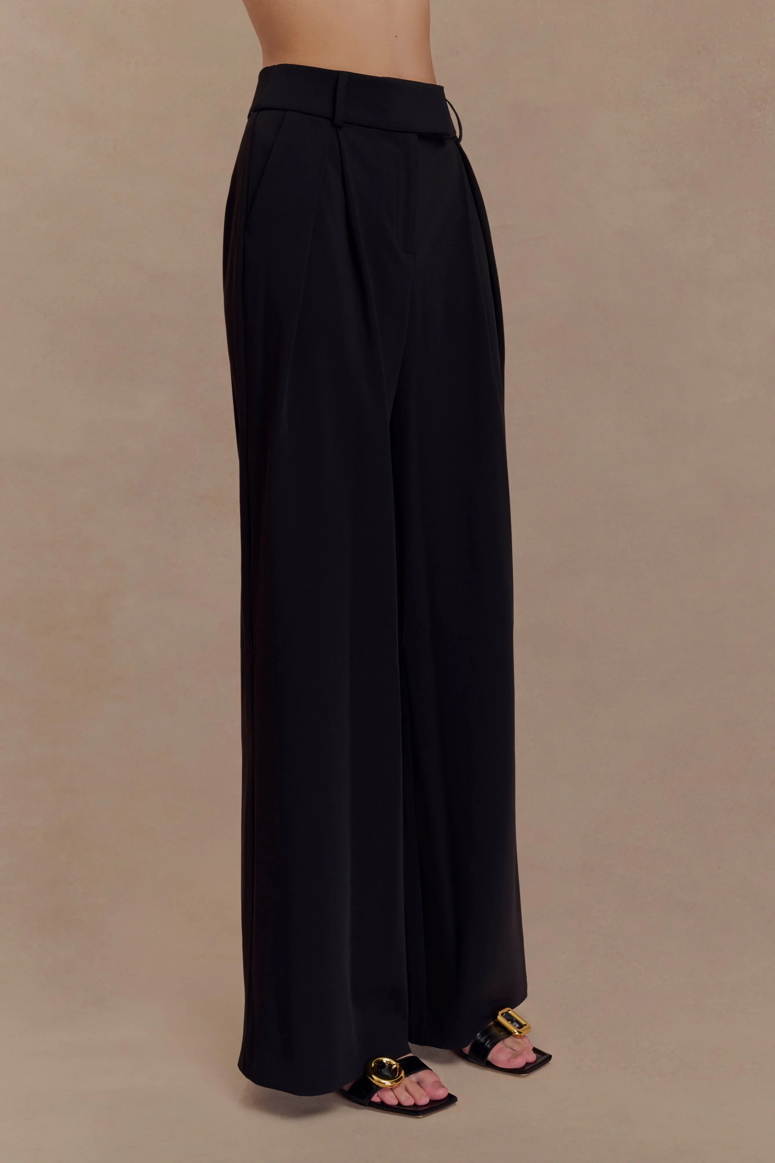 Jacqueline Pleated Wide Leg Pants Black
