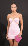 Mesh Cut Out Dress in Pink