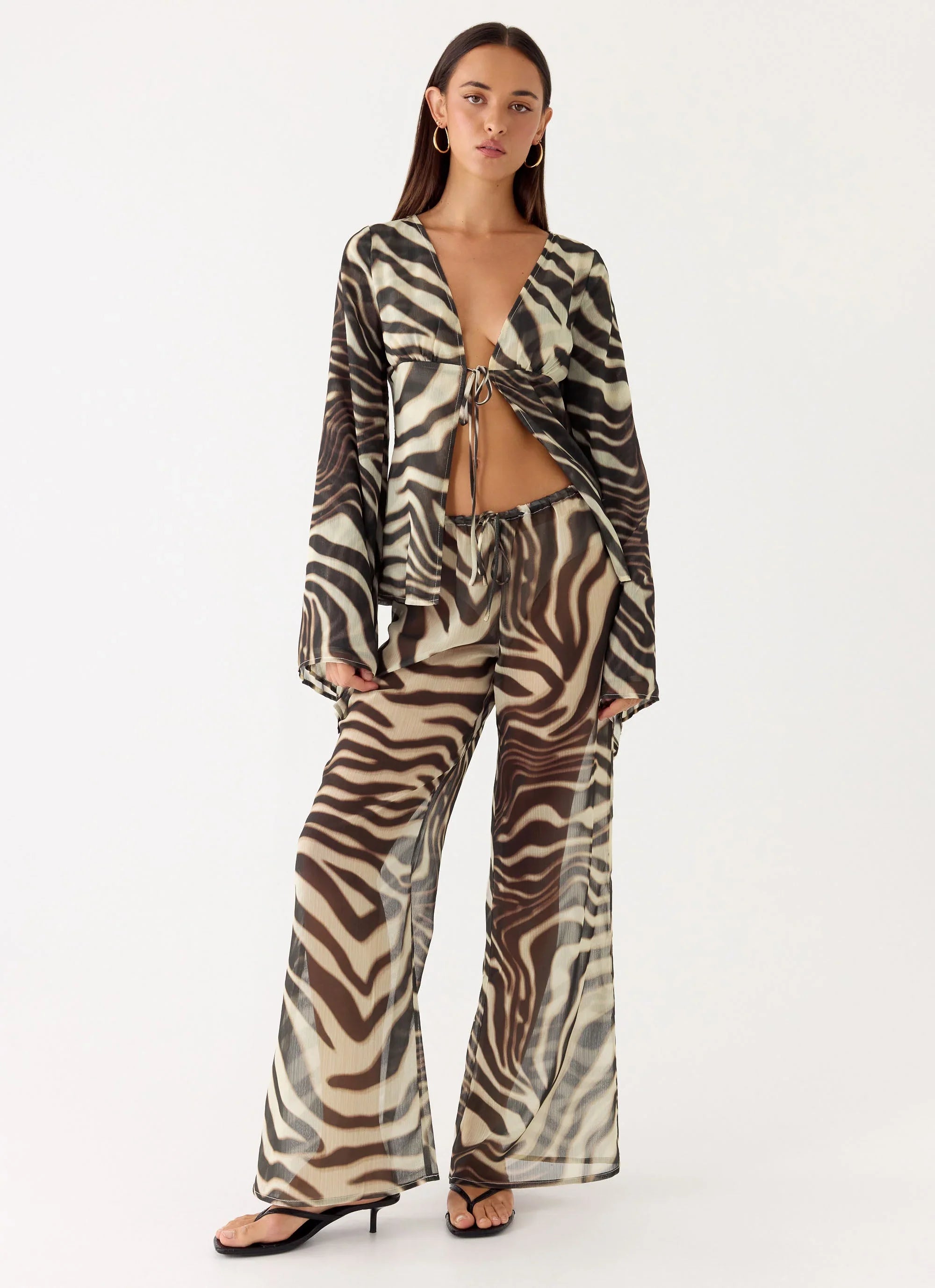 Chaty Top Zebra